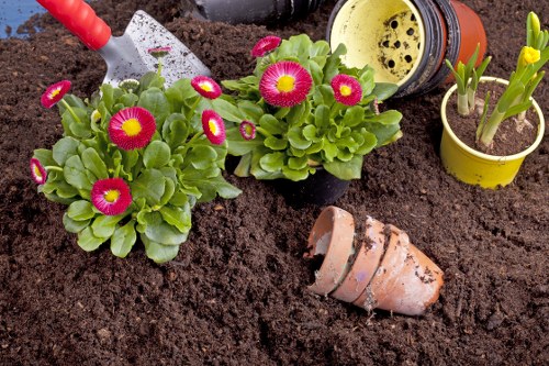 Ethical gardening and modern slavery compliance introduction
