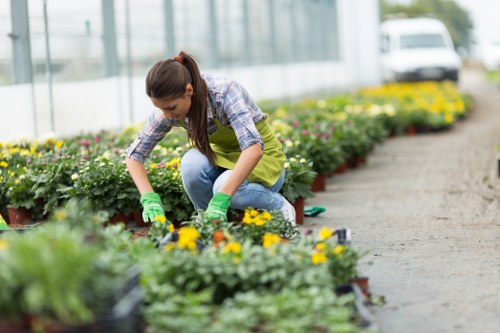 Illustration of accessible gardening information for Gardeners Chase Cross