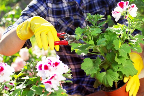 Gardeners working on a neat Chase Cross outdoor space