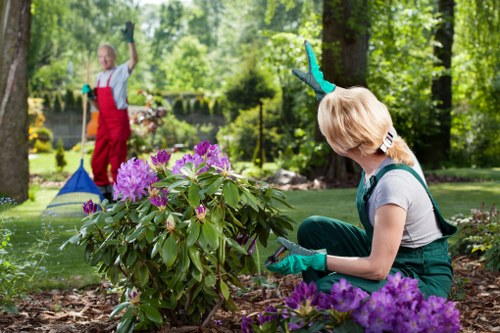Chase Cross gardener pruning and shaping plants