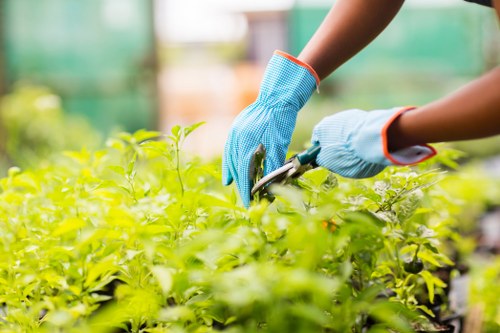 Cookie policy and privacy compliance concept for Gardeners Chase Cross