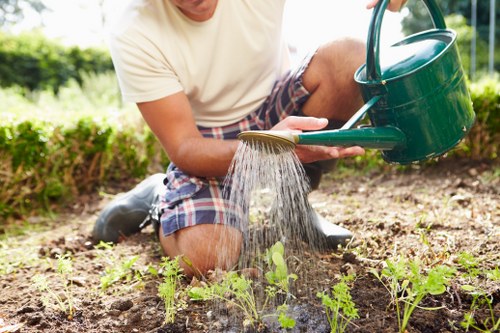 Professional tree reduction service in a Chase Cross garden