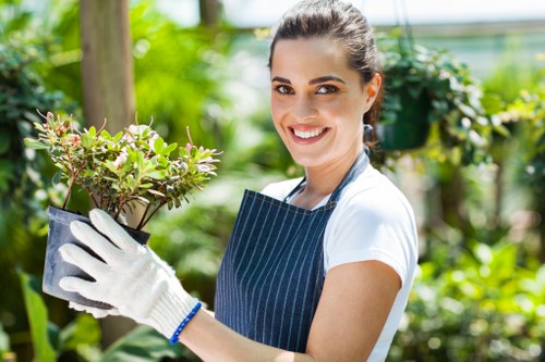 Lawn care and seasonal garden upkeep services in Chase Cross