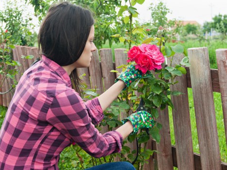 Cut back shrubs and removed garden clutter in Chase Cross