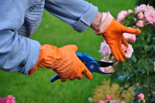 Professional garden care in Chase Cross including hedge trimming