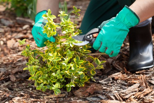 Local garden care in Chase Cross with neat lawns and borders