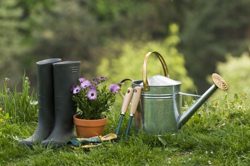 Repairing patchy grass as part of lawn care in Chase Cross