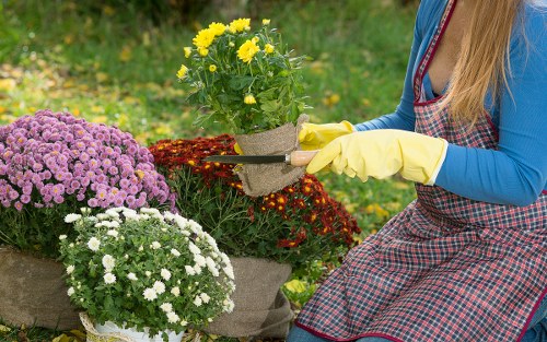 Eco-friendly recycling and sustainability practices for Gardeners Chase Cross