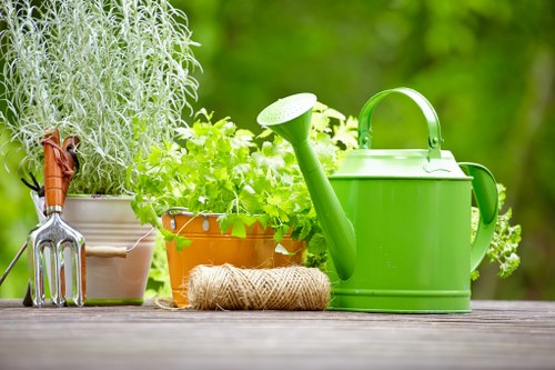 Professional hedge maintenance for a neat Chase Cross property