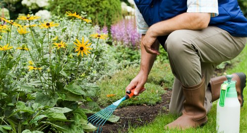 Healthy turf and lawn care in a landscaped Chase Cross garden