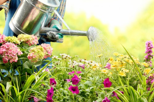 Chase Cross garden maintenance for paths, lawns, and shrubs