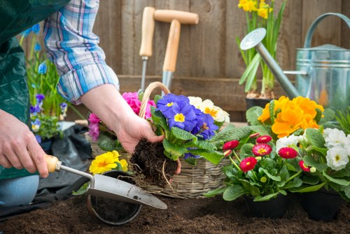 Local gardening team caring for plants and lawn in Chase Cross