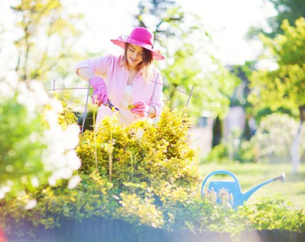 Professional lawn care treatment for a Chase Cross garden