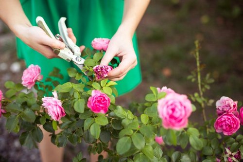 Well-kept garden in Chase Cross during seasonal maintenance