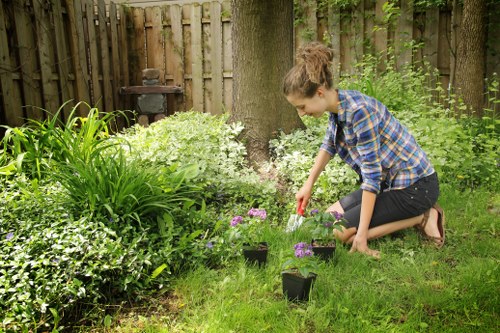 Trusted gardening services in Chase Cross for homes and businesses
