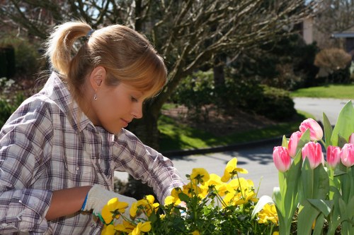 Reviewing a gardening service concern