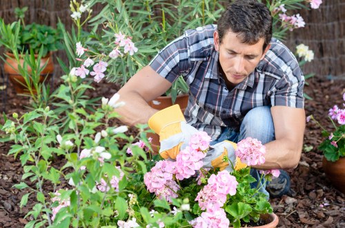 Zero-tolerance commitment to modern slavery in garden services