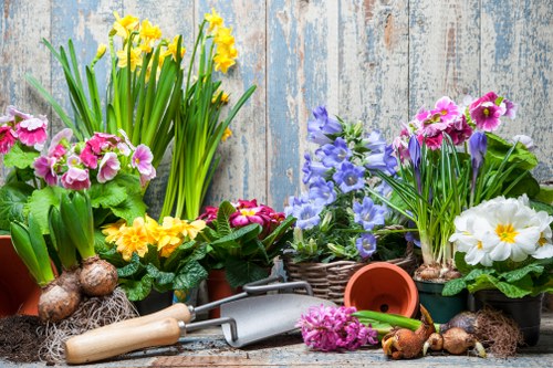 Gardeners Chase Cross creating a healthy and attractive outdoor space