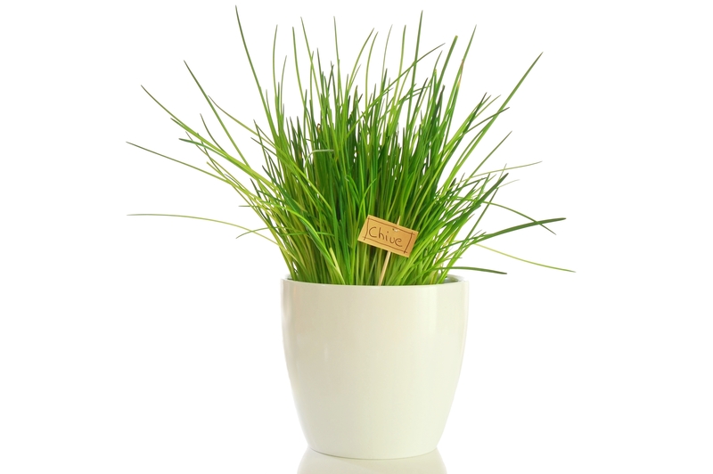 Plants 